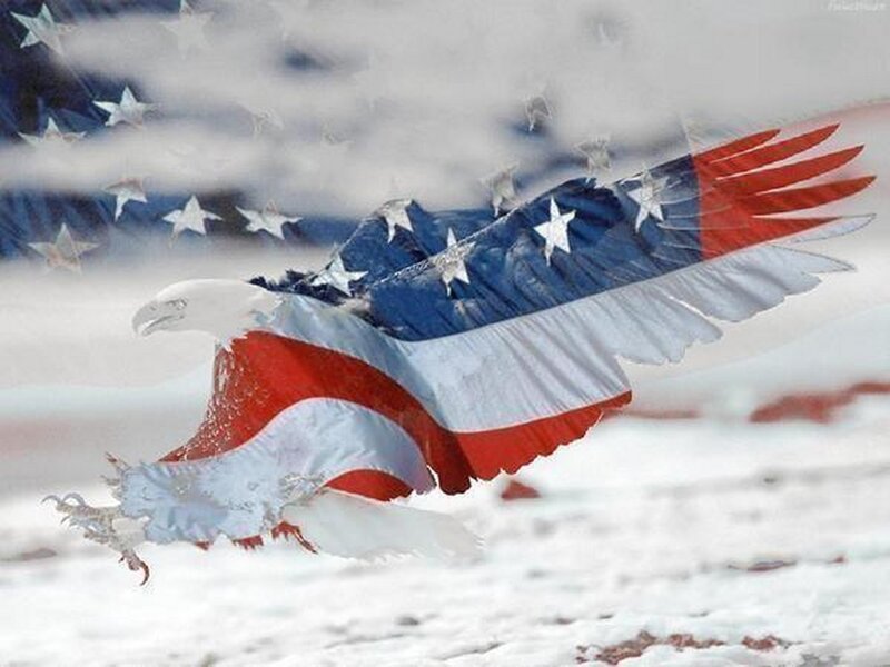 Eagle with Flag Wings
