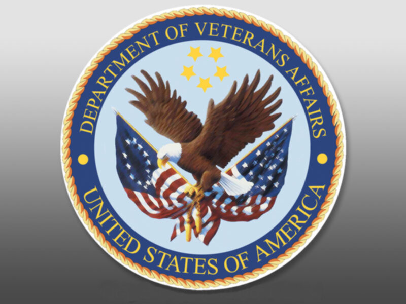 Eagle with Flags