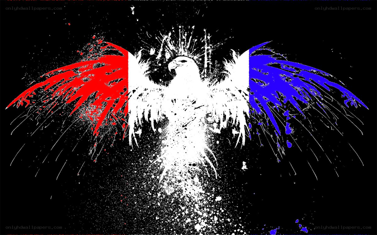eagle with french flag colors