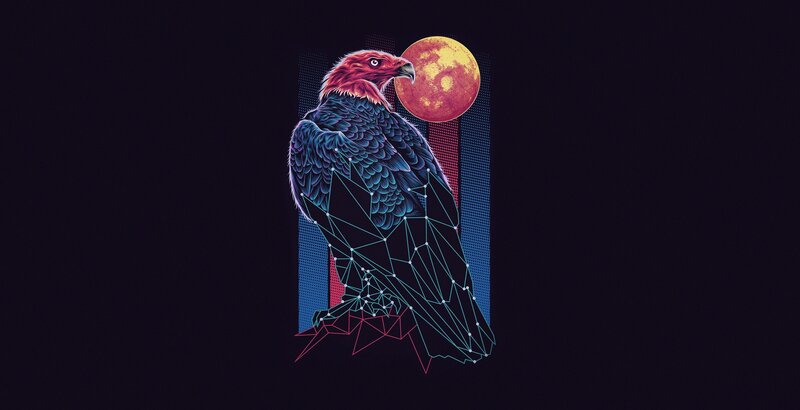 Eagle with Geometric Overlay