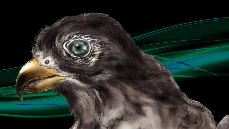eagle with glowing eyes