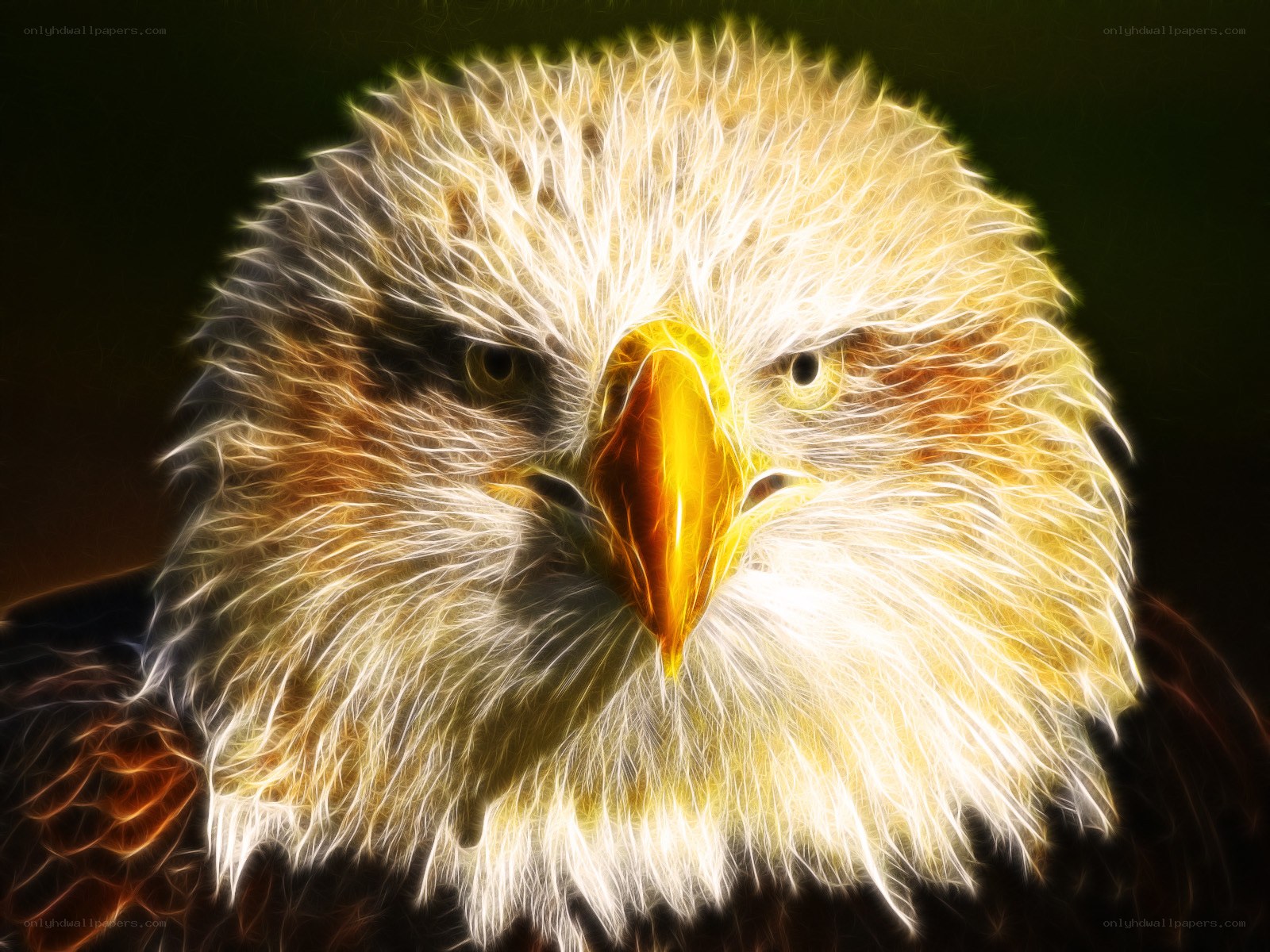 Eagle with glowing feathers