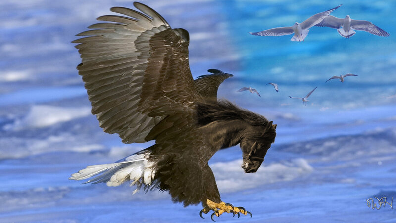 Eagle with Horse Head