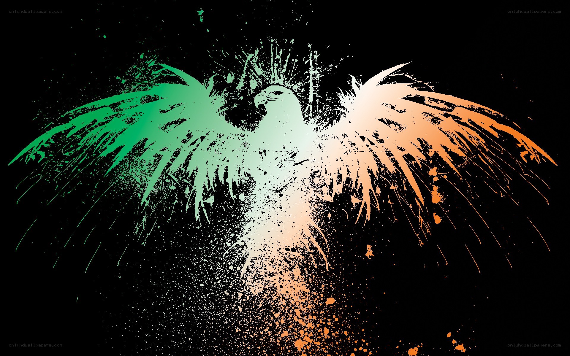 eagle with irish flag colors