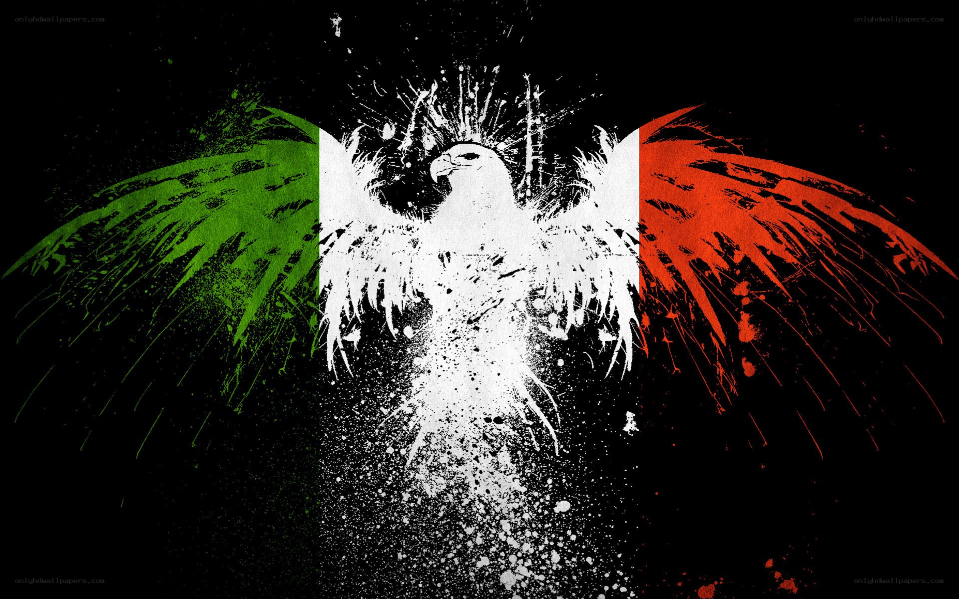 eagle with italian flag