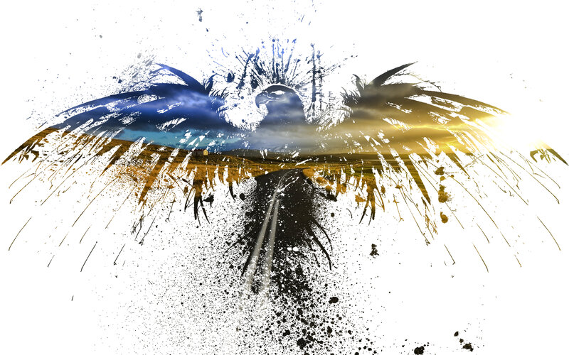Eagle with landscape wings