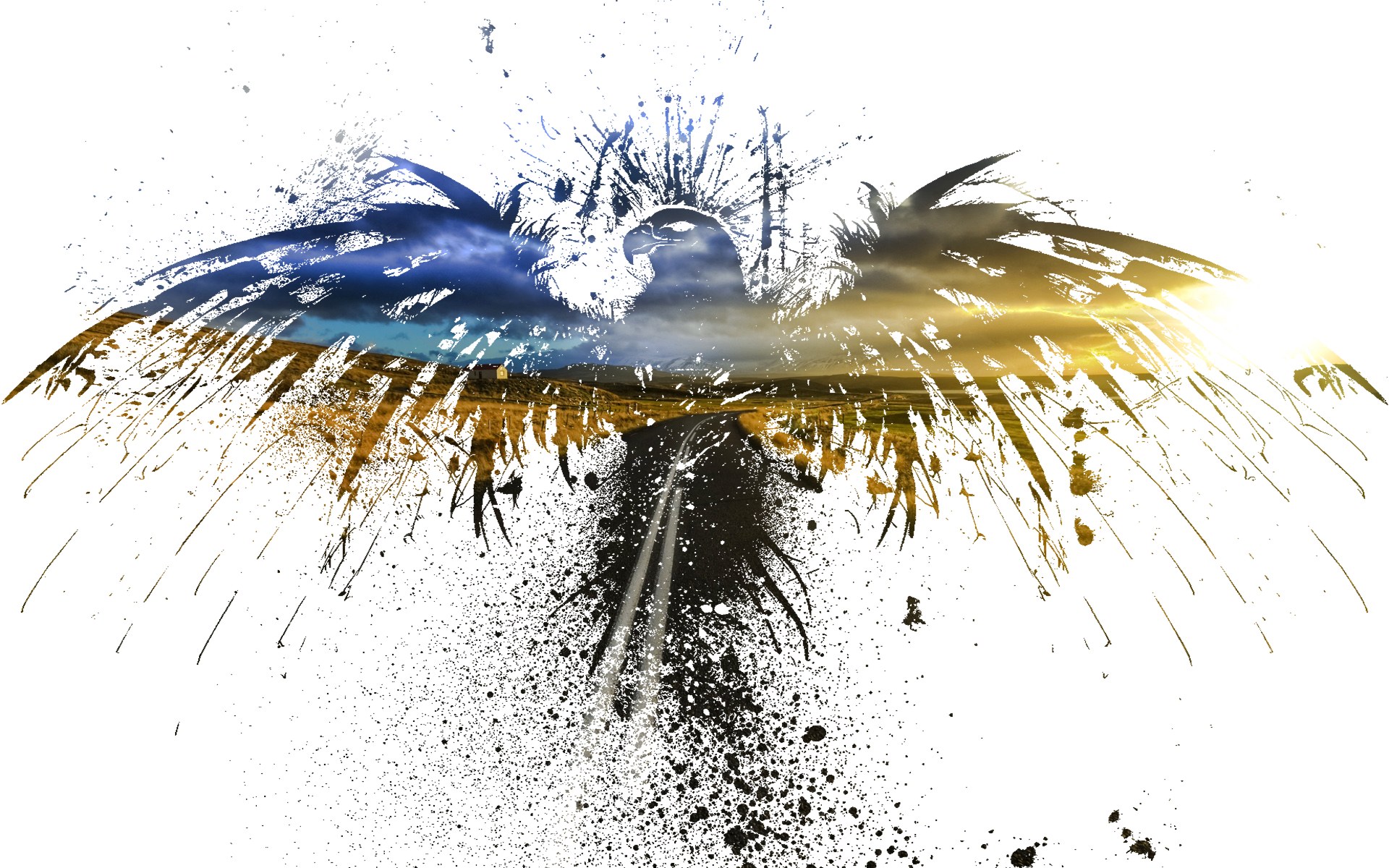 Eagle with landscape wings