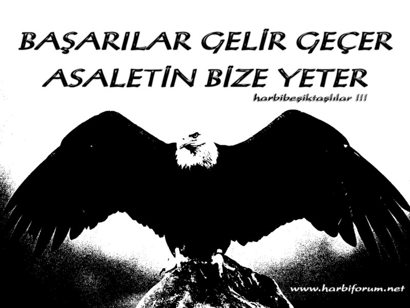 Eagle with motivational quote