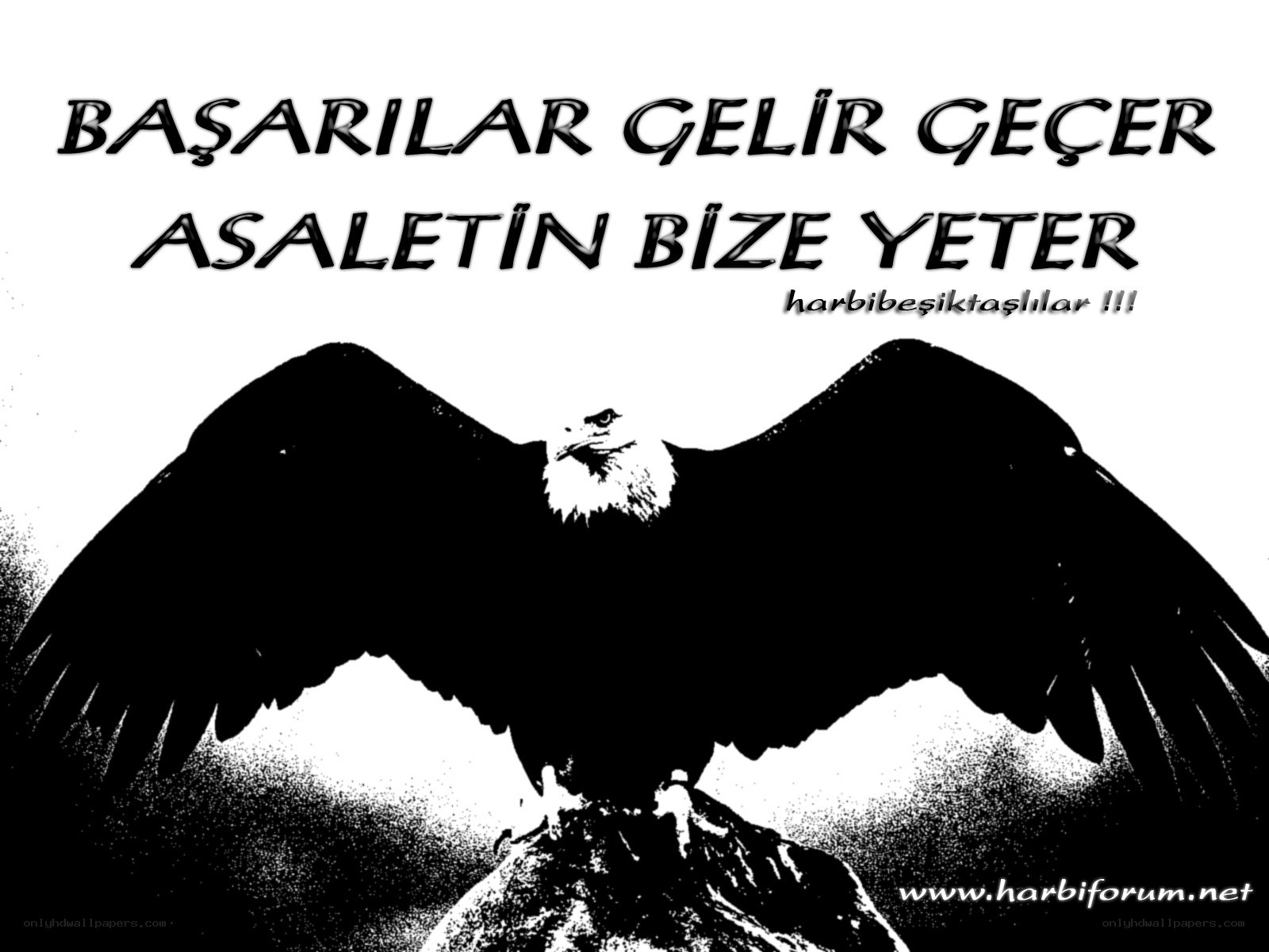 Eagle with motivational quote