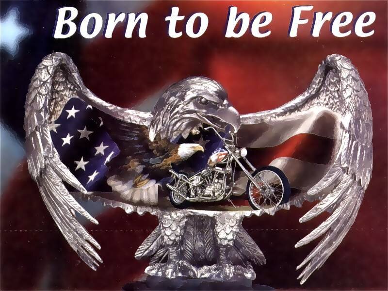 Eagle with motorcycle and flag