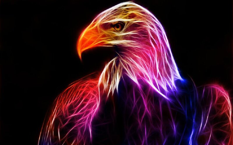 Eagle with Neon Feathers