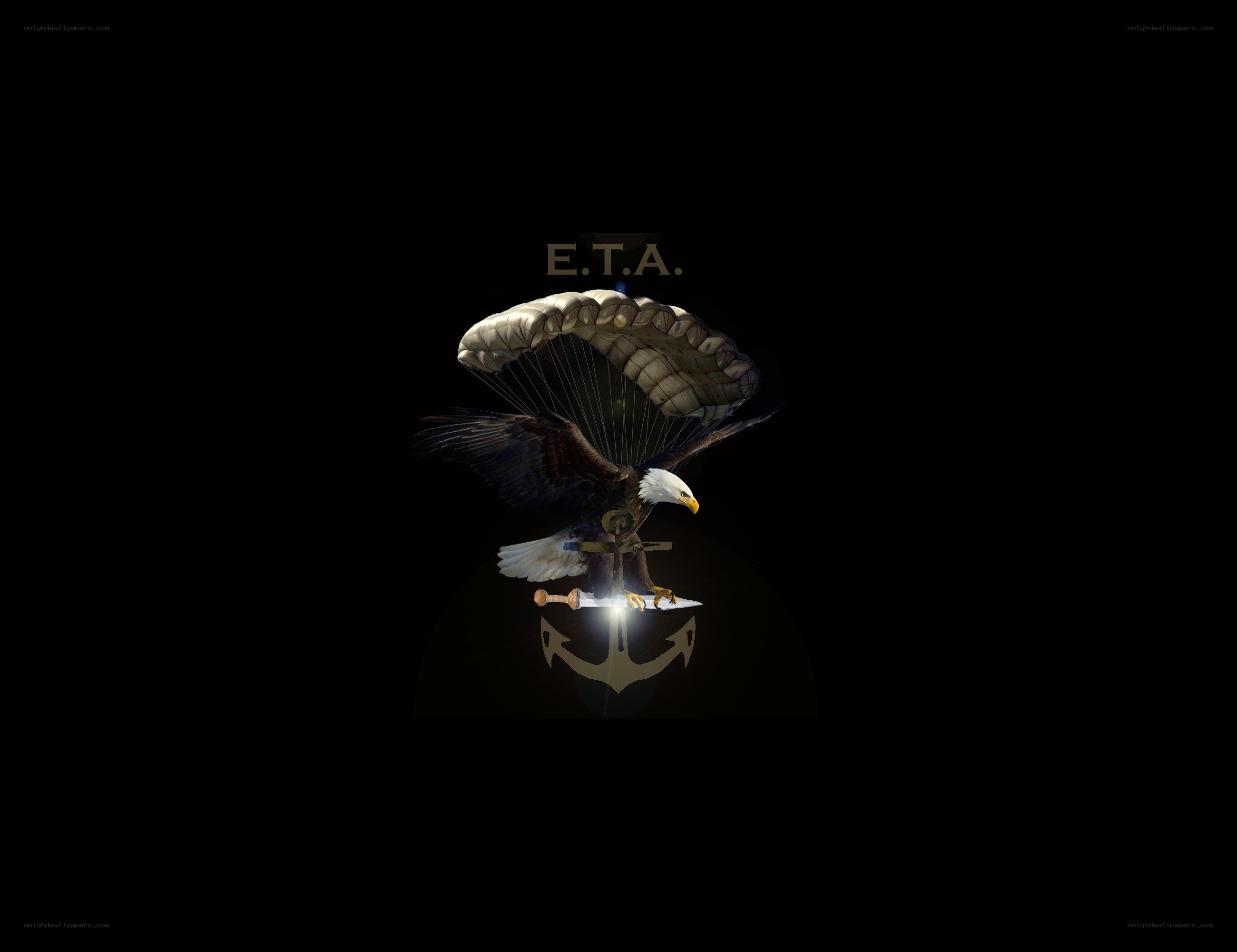 Eagle with parachute and anchor