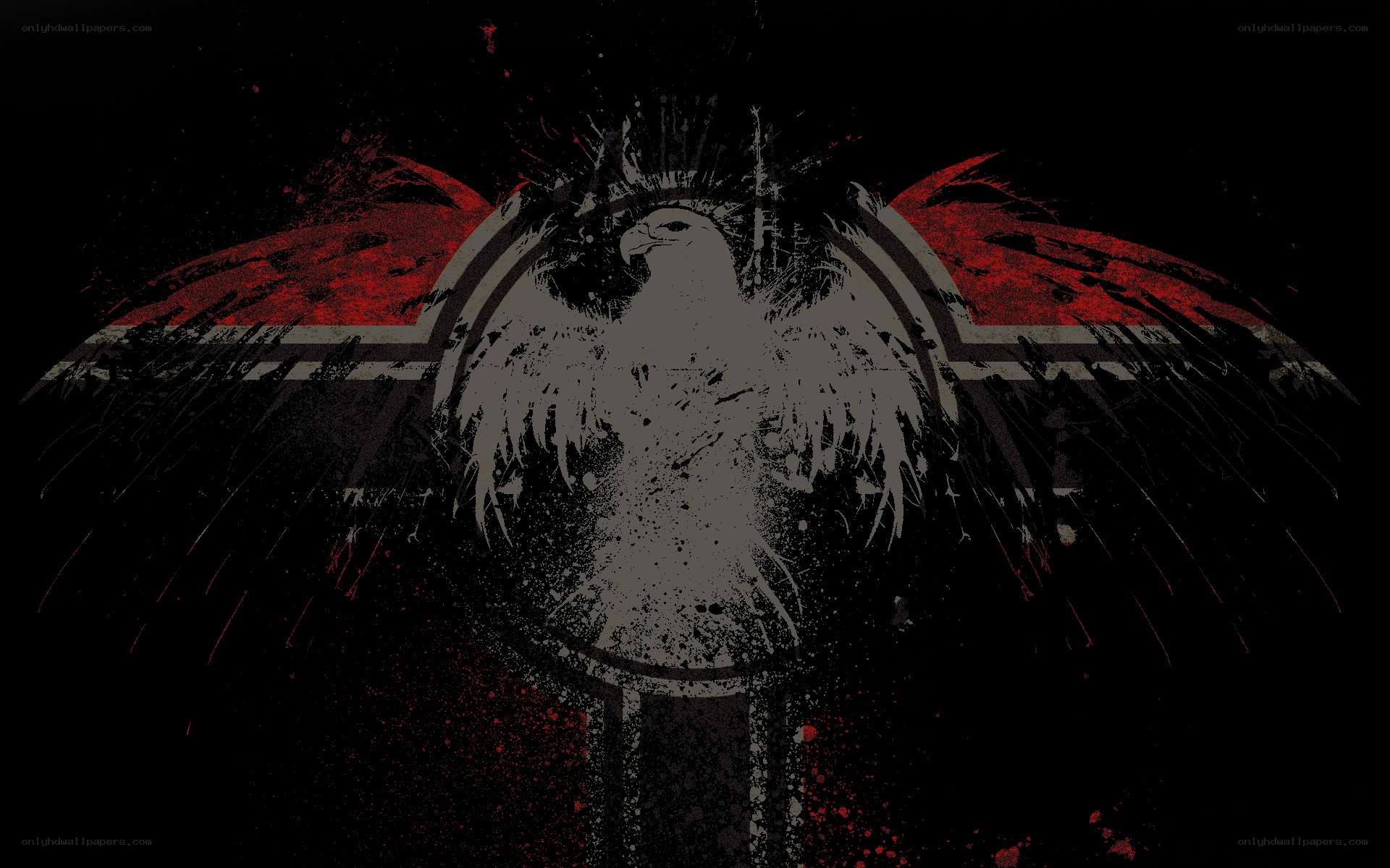 eagle with red wings