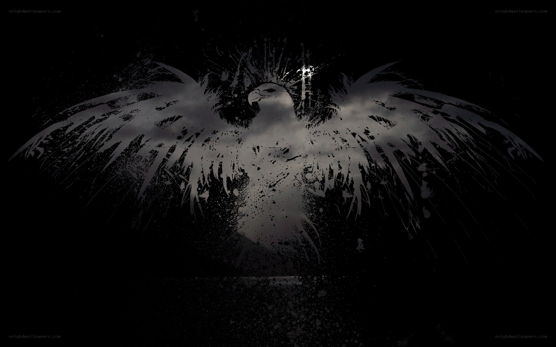 eagle with spread wings