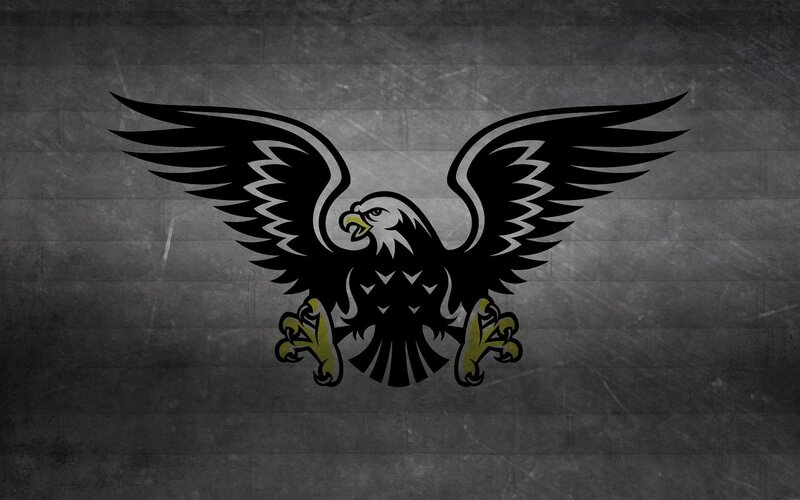 Eagle with Spread Wings — Black, Dramatic, Vector Art