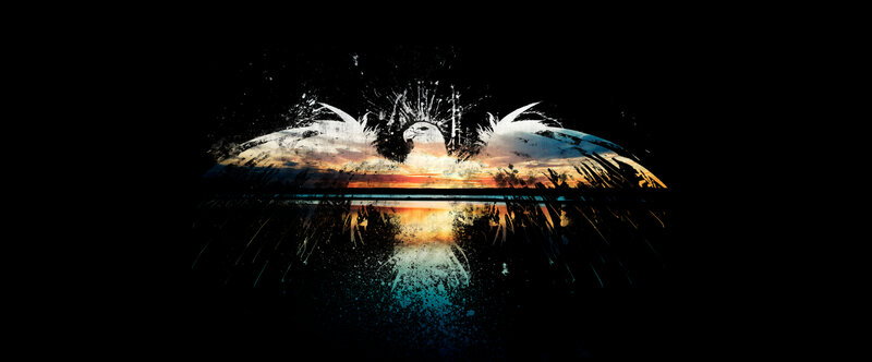 eagle with sunset reflection
