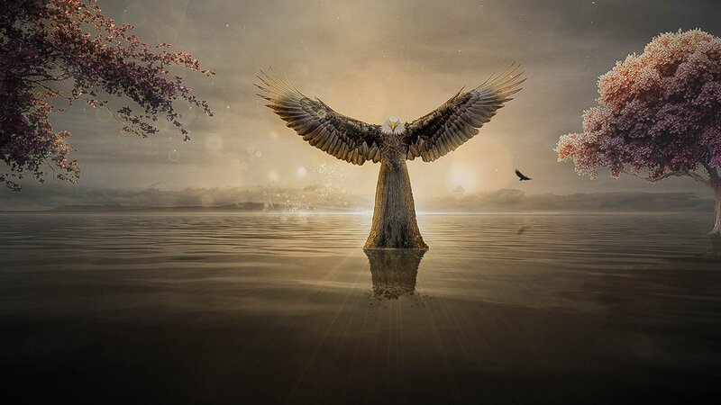 Eagle with Tree Trunk