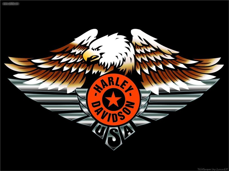 Eagle with Wings Spread