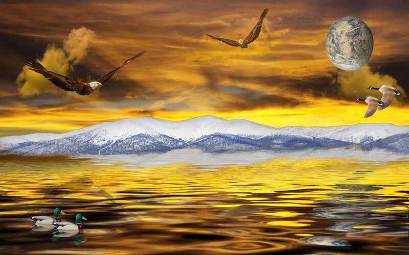 Eagles and Ducks over Lake