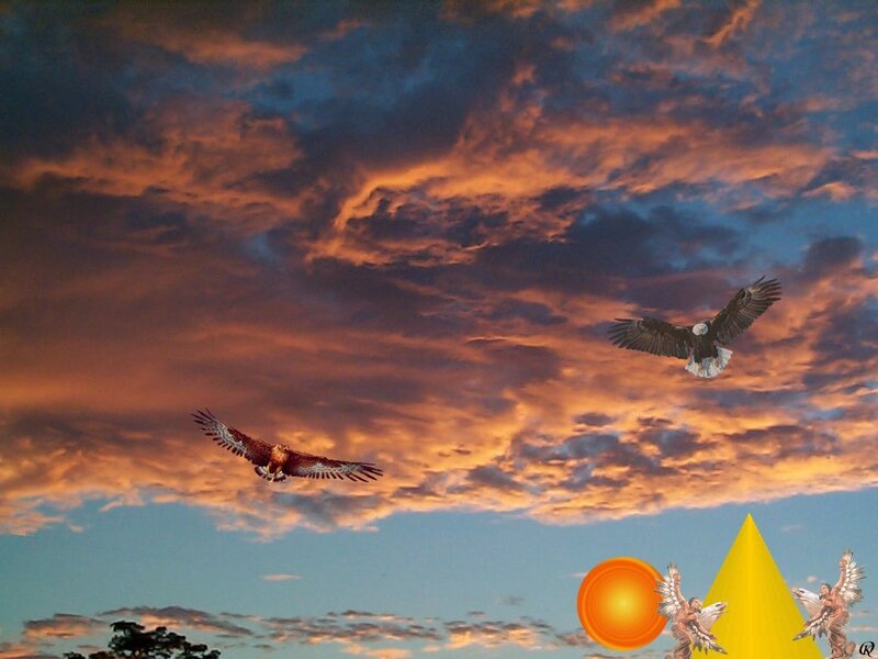 Eagles flying at sunset