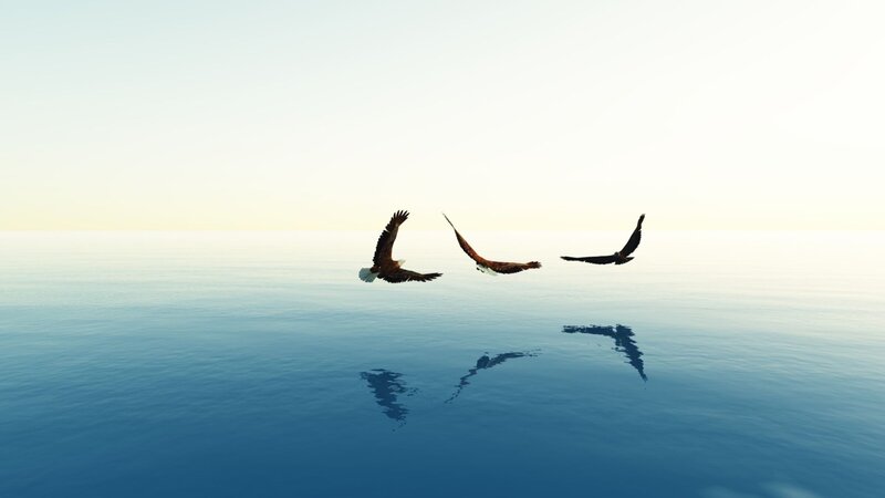 eagles flying over calm water