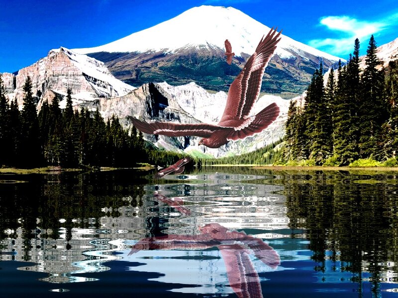 Eagles Flying over Lake