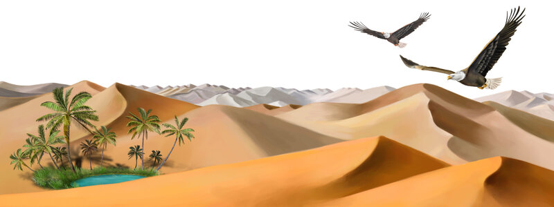 Eagles Flying over Oasis