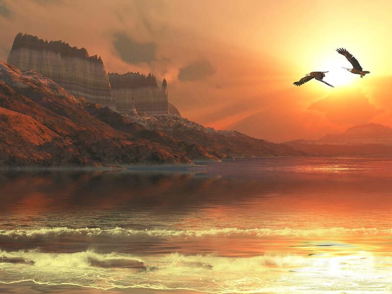 Eagles Flying over Water