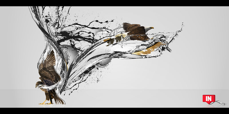 Eagles in water splash
