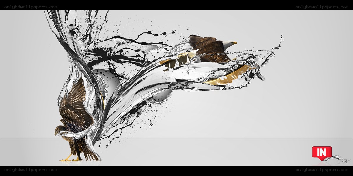 Eagles in water splash