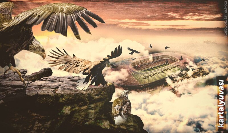 Eagles on Rocky Cliff