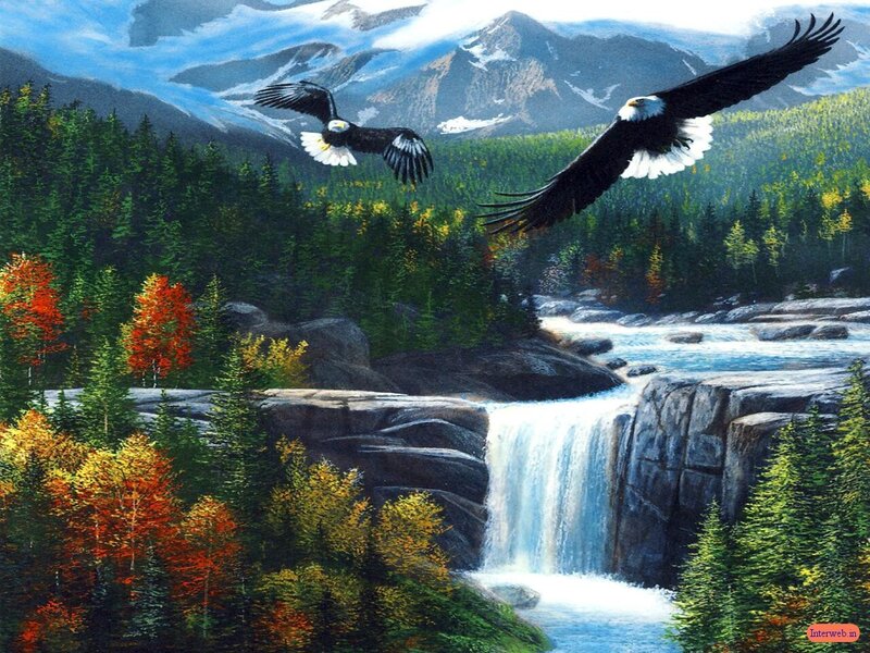 Eagles over a mountain waterfall
