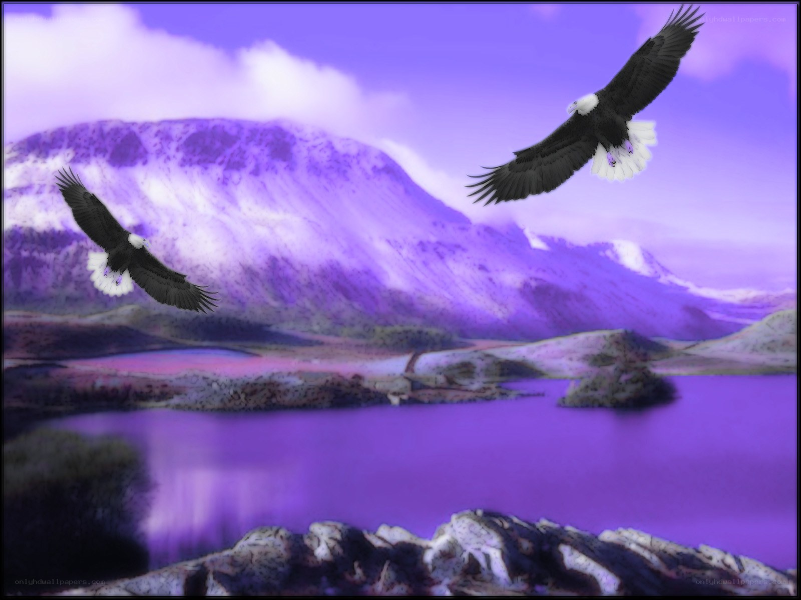 Eagles over purple landscape