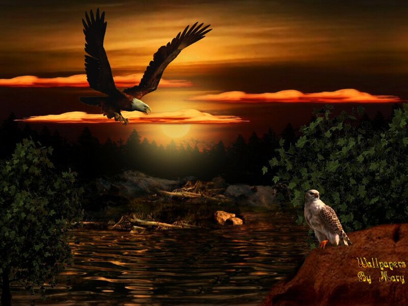 Eagles over River