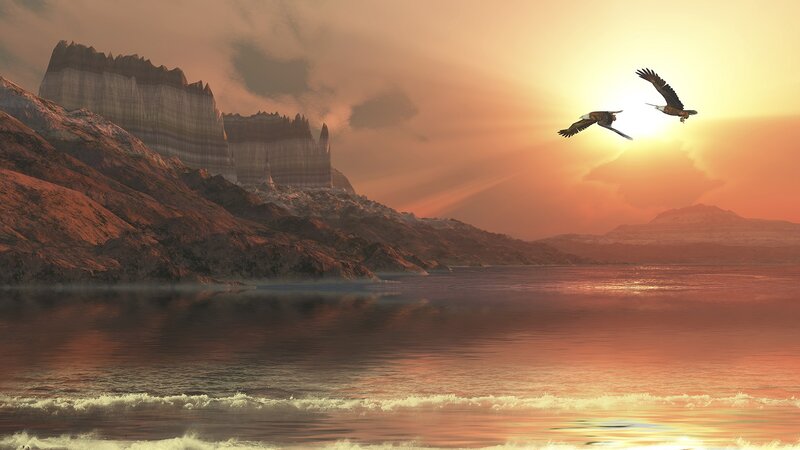 Eagles soar over sunset cliffs