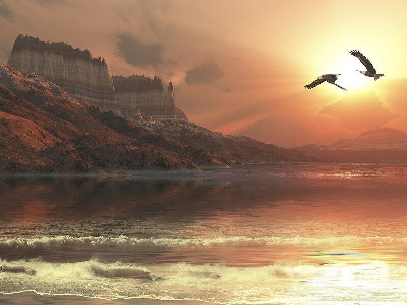 Eagles soar over sunset coast