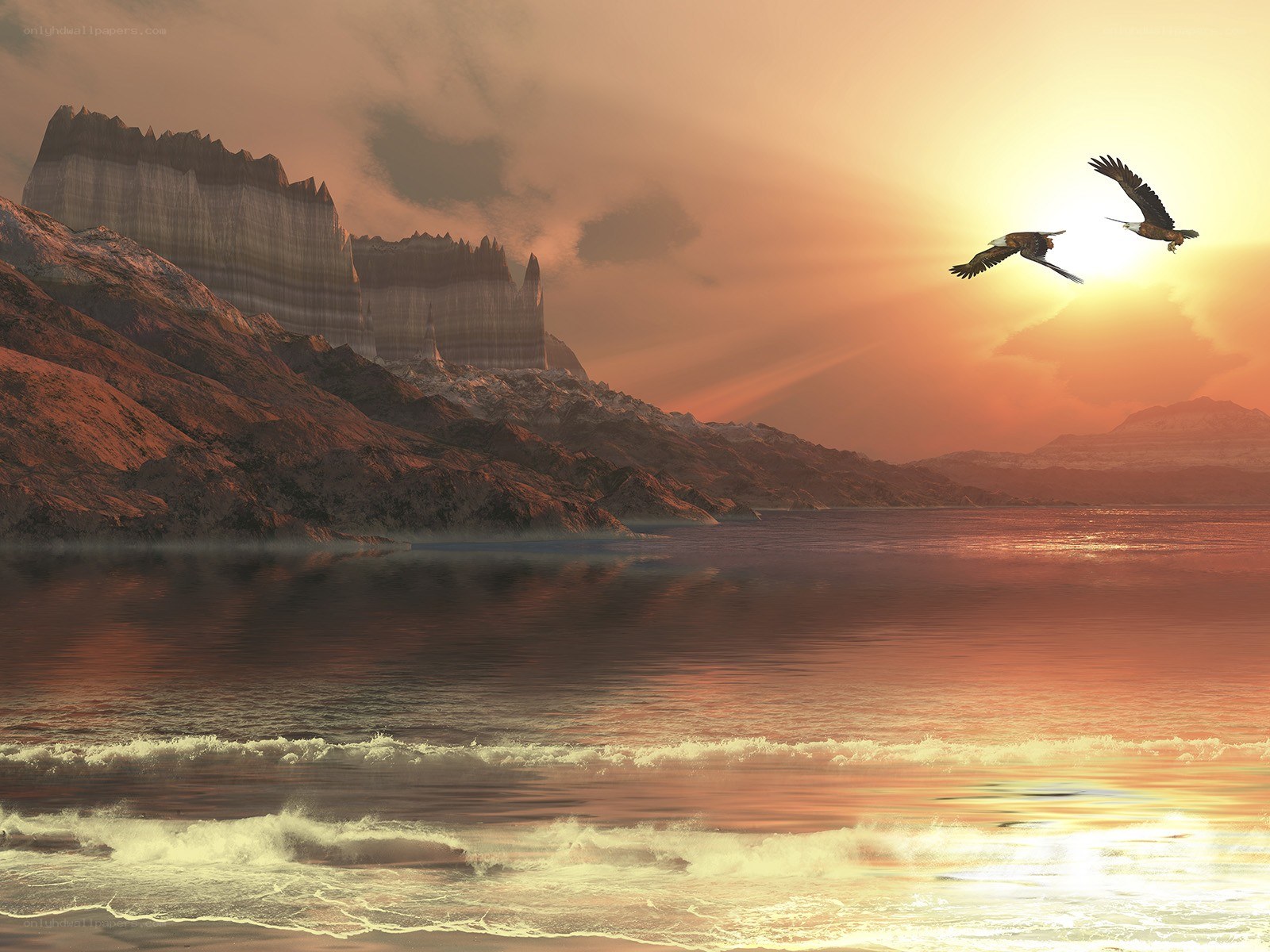 Eagles soar over sunset coast