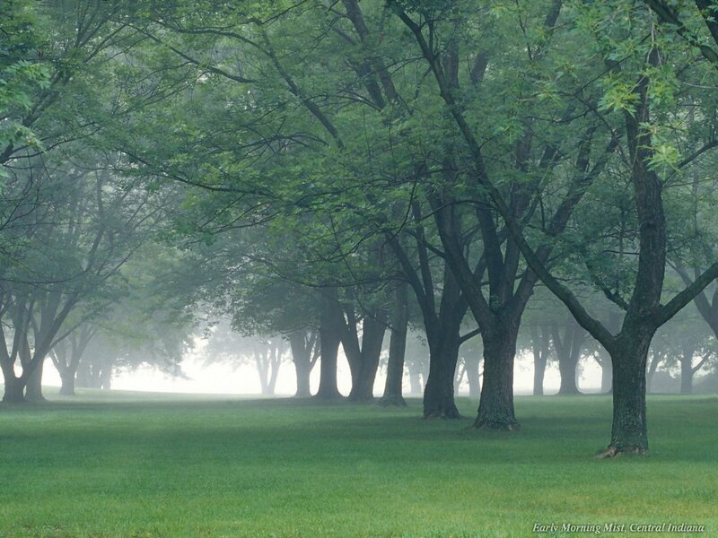 Early morning mist in Indiana