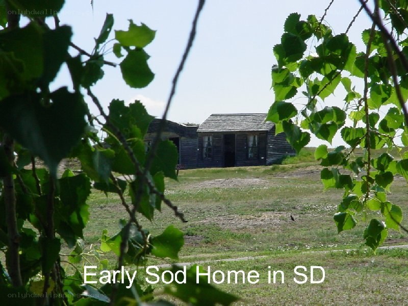 Early sod home in SD