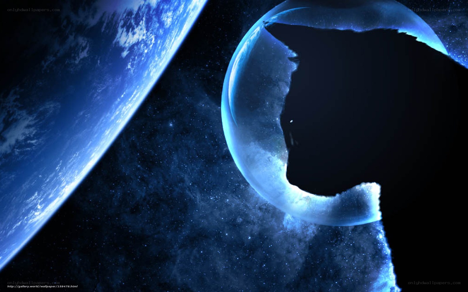 Earth and cat in space