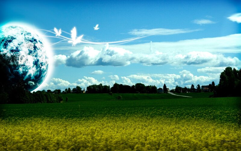 Earth and flying birds