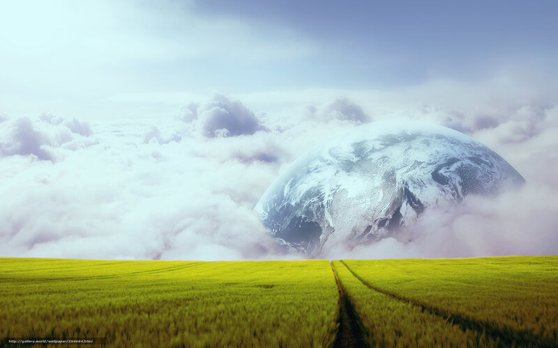 Earth from a field of wheat