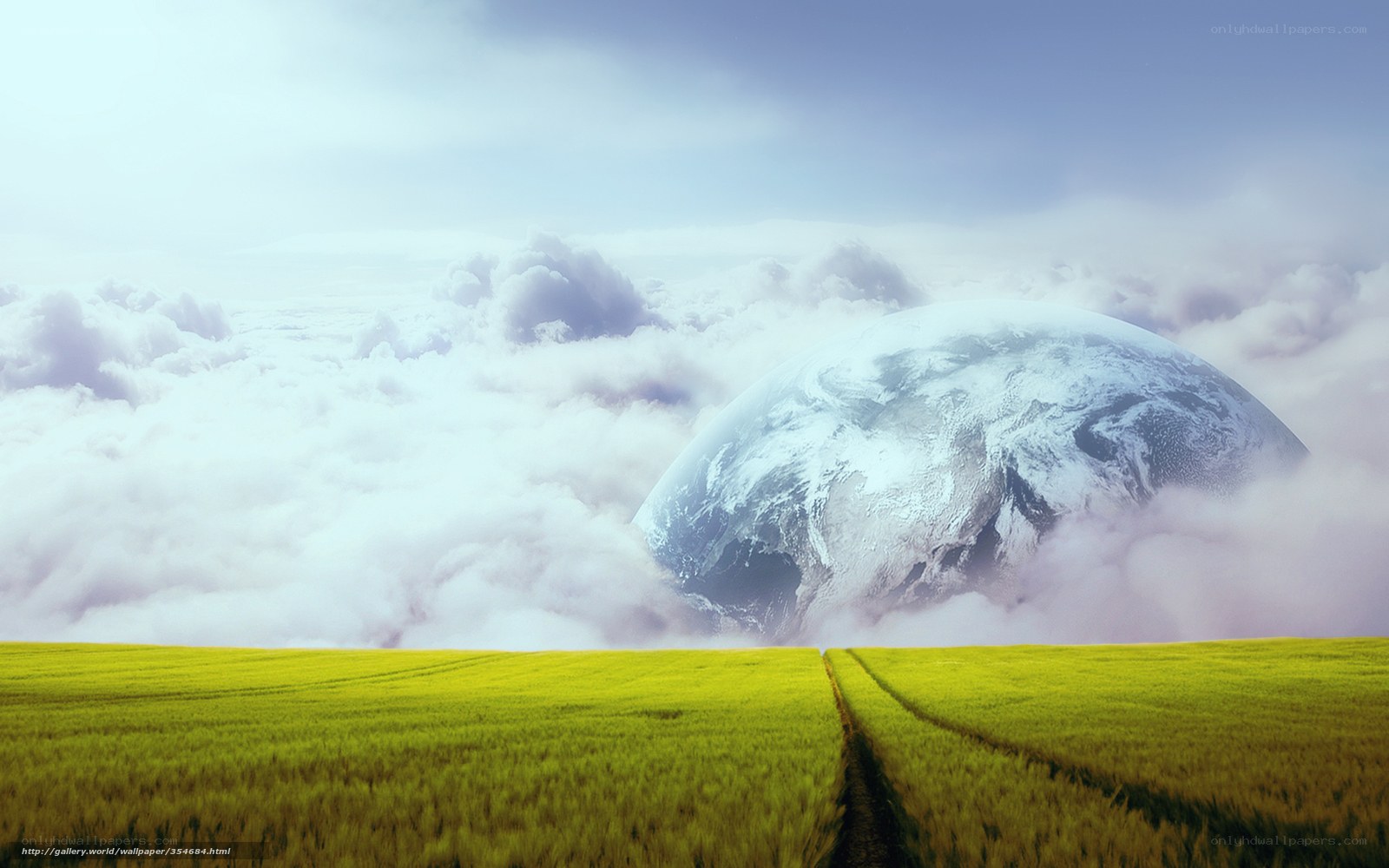Earth from a field of wheat