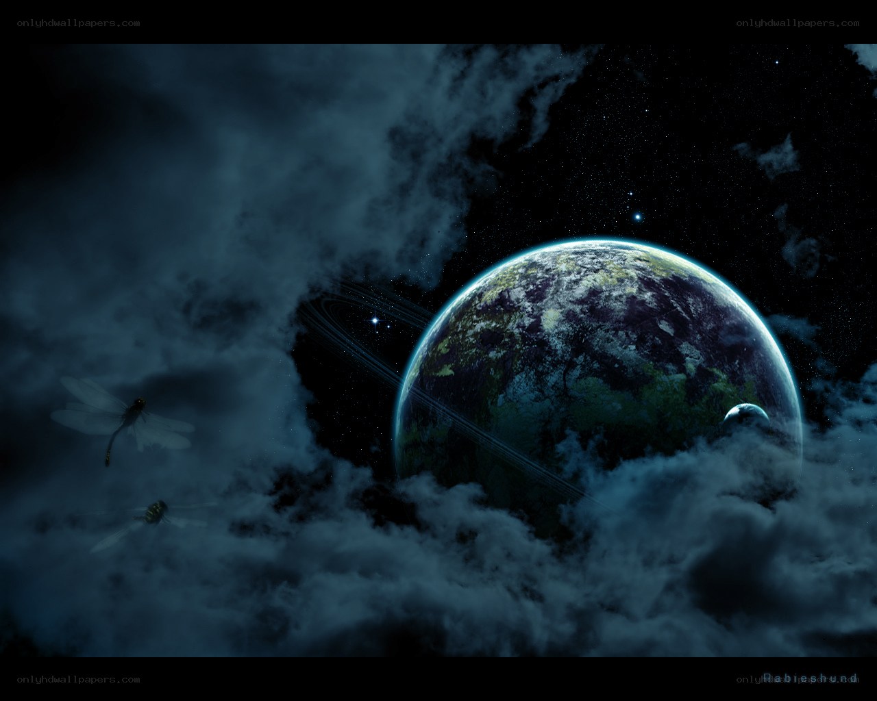 Earth from space with dragonflies