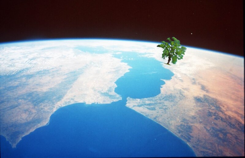 Earth from space with tree