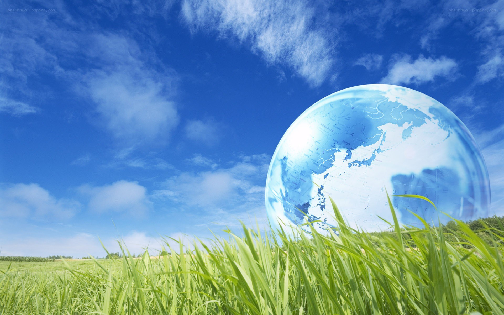 Earth globe in green field
