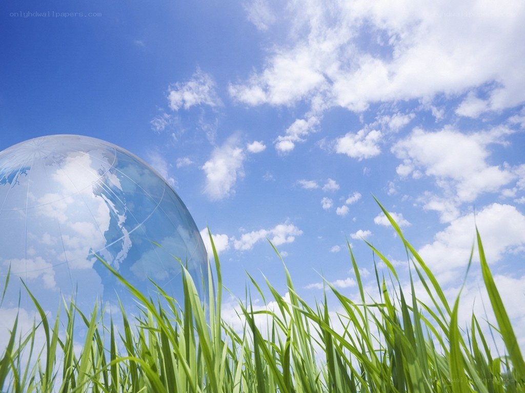 Earth globe in green grass