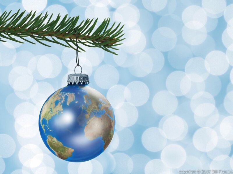 Earth Ornament on Branch — Blue