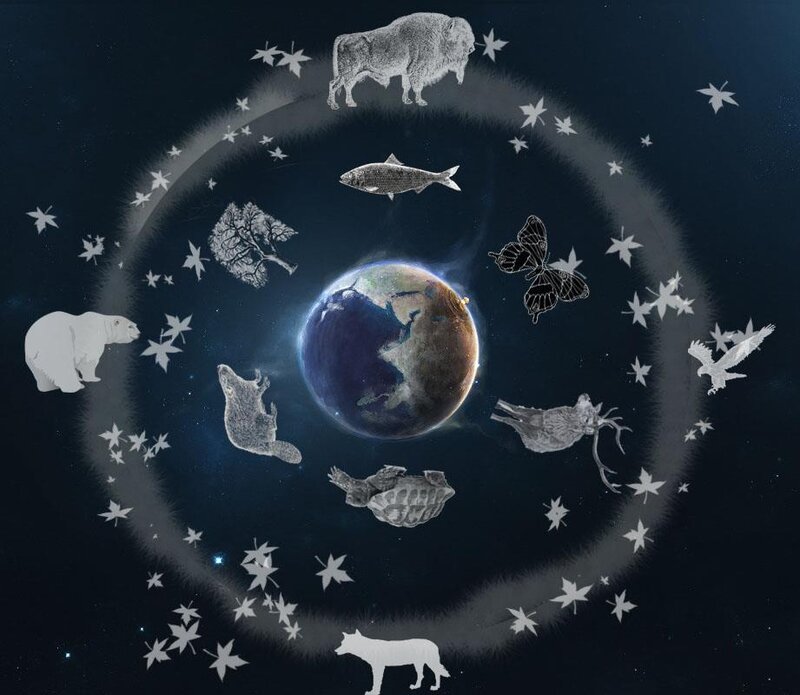 Earth with Animals in Orbit