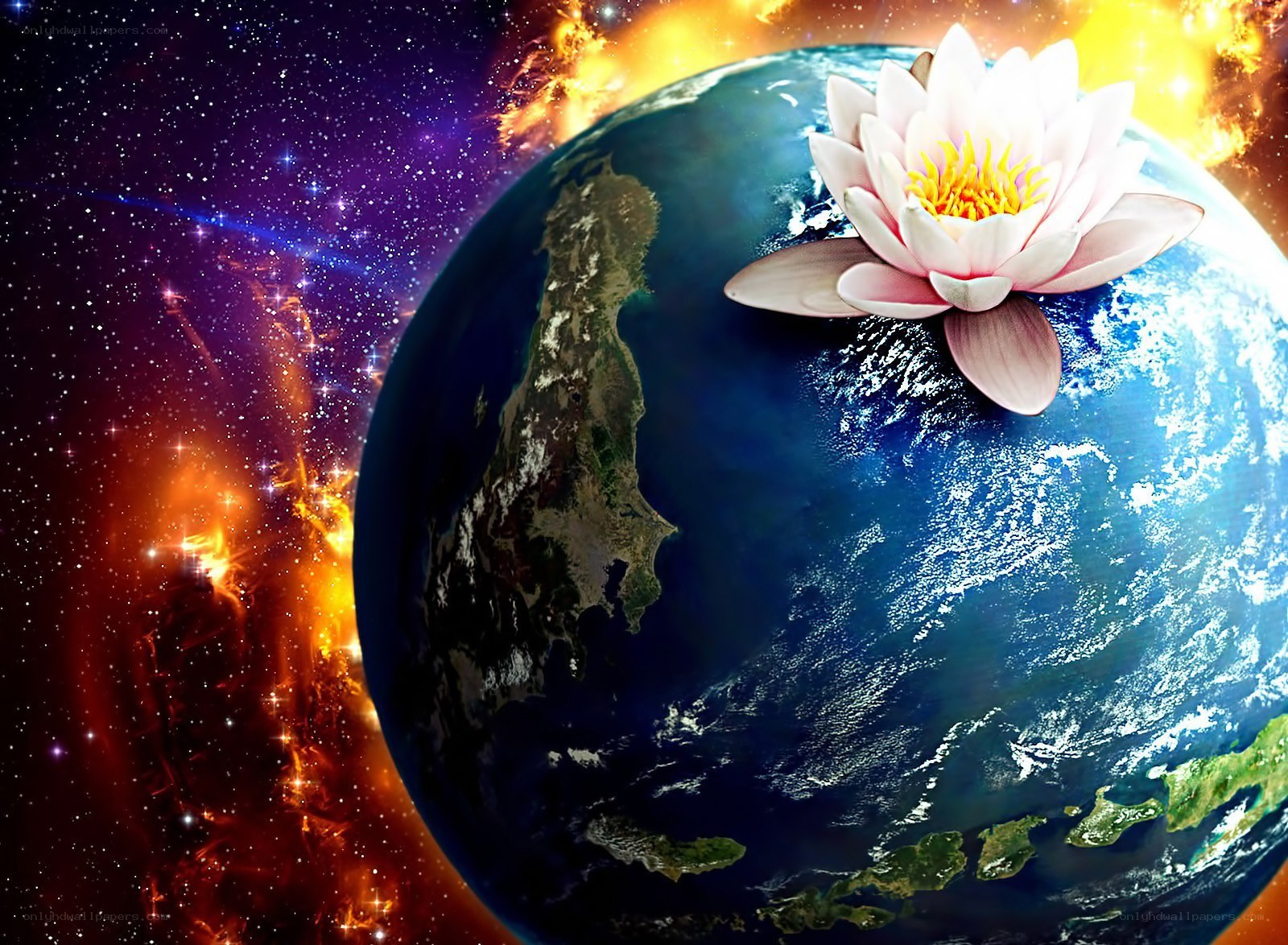 Earth with lotus flower